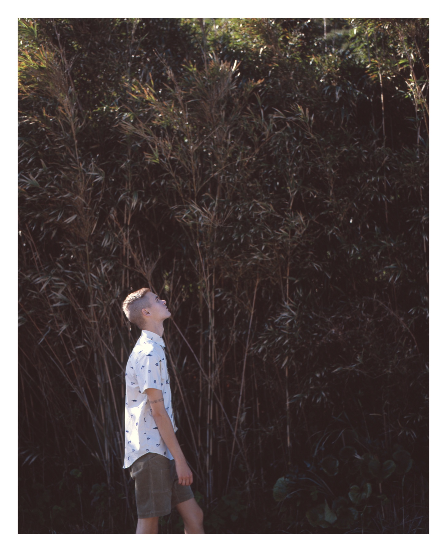 Printed short-sleeve shirt beside bamboo