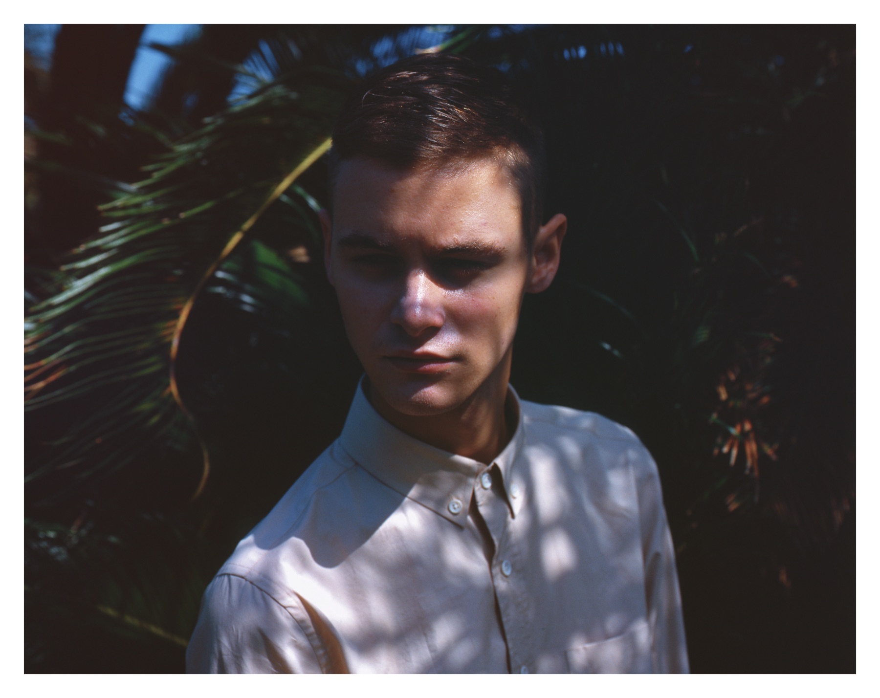 Classic white shirt in dappled shadow